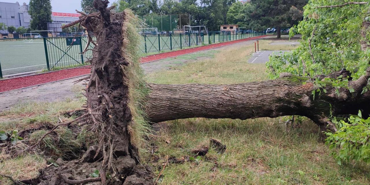 Országos helyzetkép: Húsz tűzeset, tizenkétezer háztartás maradt áram nélkül