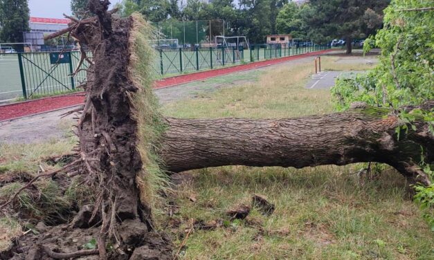 Országos helyzetkép: Húsz tűzeset, tizenkétezer háztartás maradt áram nélkül