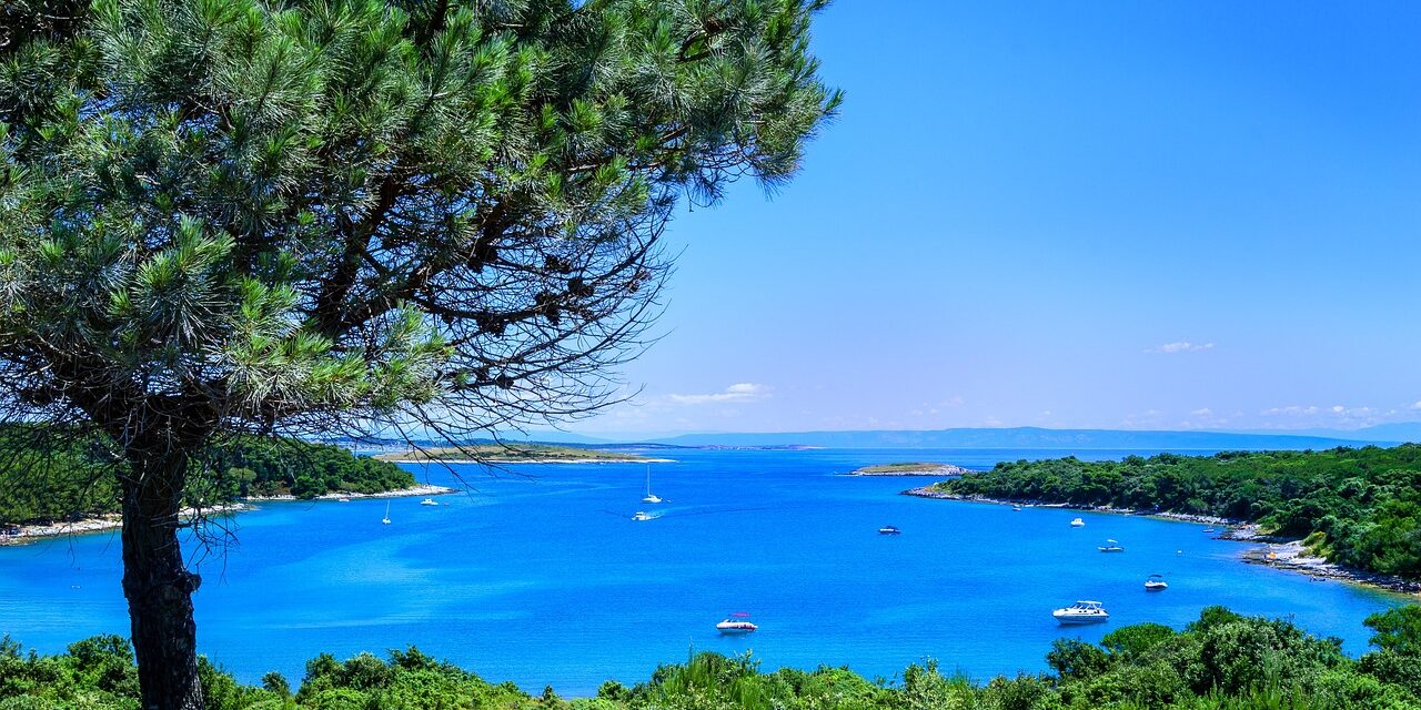 Ebcápa és mókushal az Adriai-tengerben