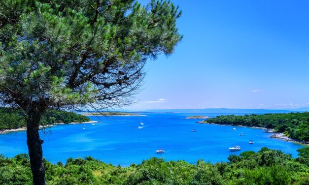 Ebcápa és mókushal az Adriai-tengerben