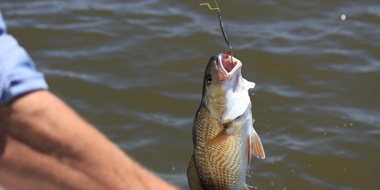 Női Horgász Világbajnokságot tartottak Apatinban