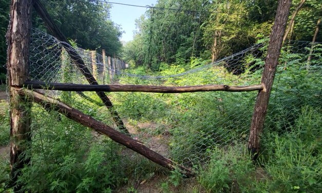 Ismét robbanás volt a Makkhetesen