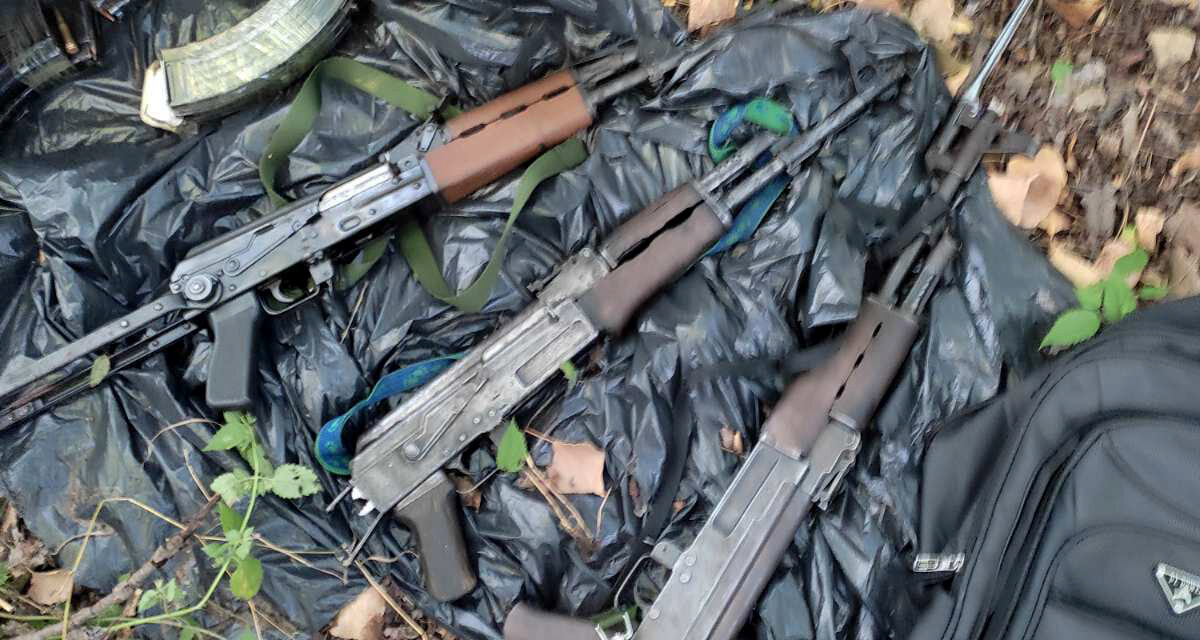 Gašić: A koszovói maffia fegyverzi fel a szerb-magyar határnál tevékenykedő embercsempészeket