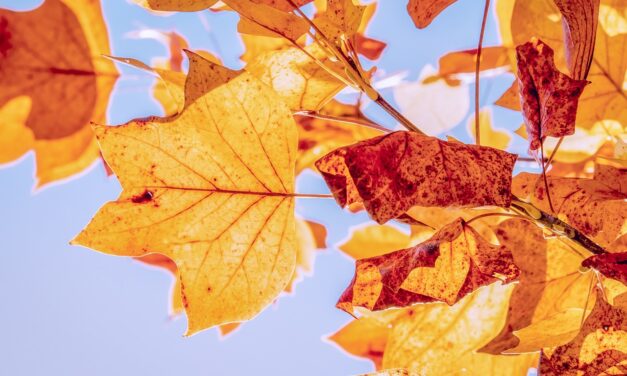 Szeptember közepén megérkezik az ősz