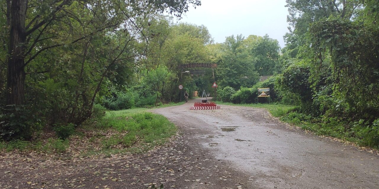 Fa dőlt ki a zentai strandon, a vihar a gyálai határátkelőn egy autót rongált meg (Fotó)