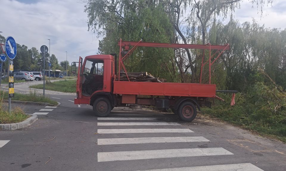 Elkezdte kivágni a város fáit, majd miután az intézkedő rendőr elment, elvitte amit addig kivágott (Fotók+Videó)