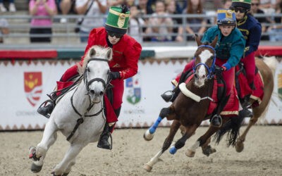 Vajdasági sikerek Szilvásváradon A Nemzeti Vágta első versenynapján ketten is továbbjutottak