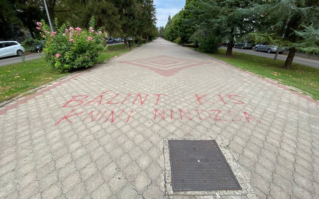 „Bálint Kis Knini Nindzsa” falfirkák lepték el Szabadkát