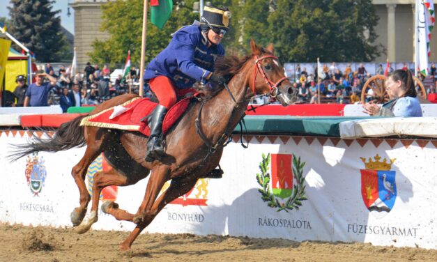 „Fantáziátlan” lesz idén a Nemzeti Vágta