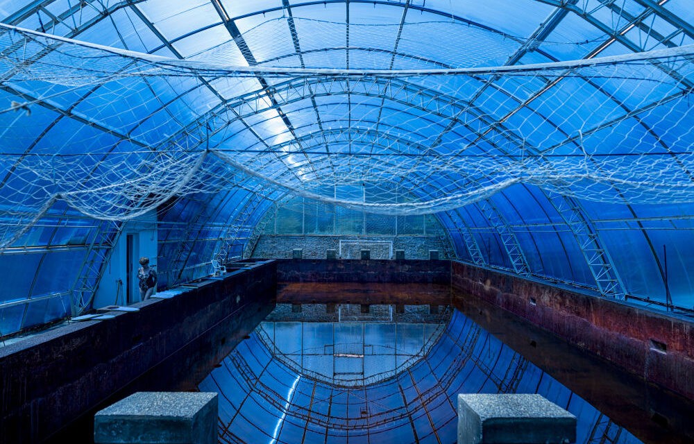 Most kiderül, mit tettek Zentán tavaly nyáron