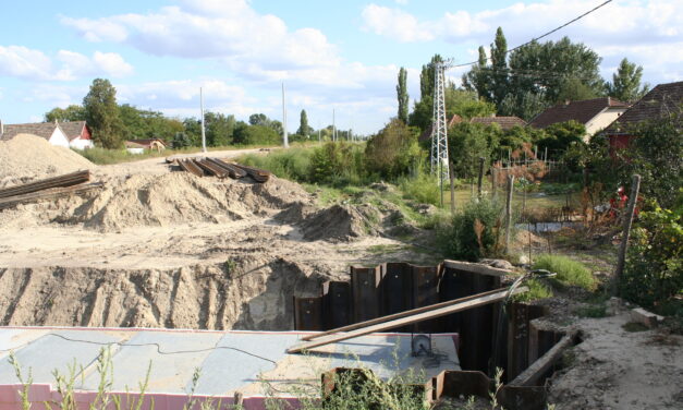 <span class="entry-title-primary">„Letörölték a térképről a szabadkai Koszovó utcát”</span> <span class="entry-subtitle">Az esetről az illetékesek és a sajtó nagy része is mélyen hallgat</span>