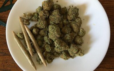 Nagybecskereki marihuána-kereskedőt fogtak el a rendőrök