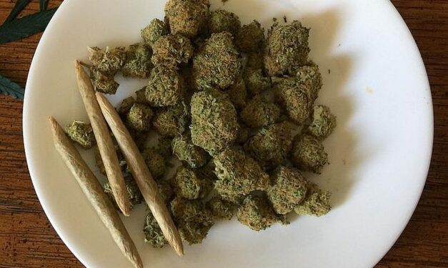 Topolyai drogdíler is lebukott Újvidéken