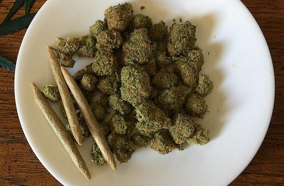 Nagybecskereki marihuána-kereskedőt fogtak el a rendőrök