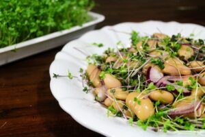 mikrozöld salátán