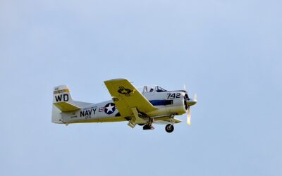 Apa és fia haltak meg a magyarországi légi balesetben