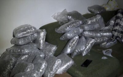 Több mint száz kilogramm droggal bukott le a három gyanúsított (Fotók+Videó)