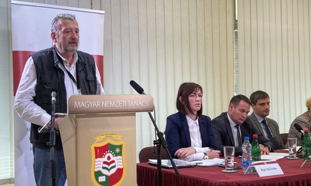 Miért ragaszkodik a VMSZ Bodzsonihoz?