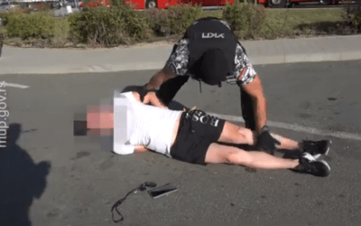 Négy kiló kokaint és harminc liter amfetaminolajat találtak a rendőrök Újpázován (Videóval)