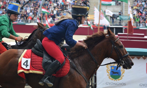 Vajdaság rendkívül kacifántos módon került be a Nemzeti Vágta döntőjébe