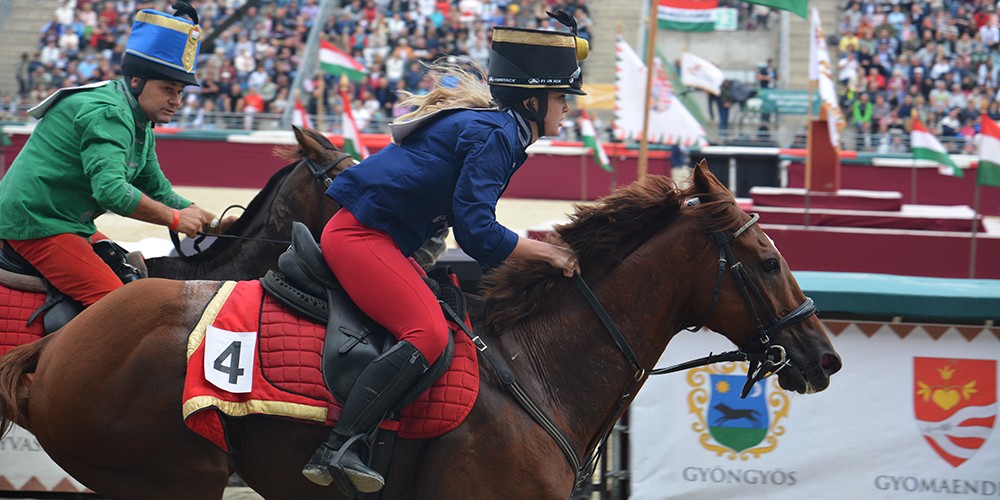 <span class="entry-title-primary">Vajdaság rendkívül kacifántos módon került be a Nemzeti Vágta döntőjébe</span> <span class="entry-subtitle">Zboray Viktória Adorján színeiben versenyez</span>