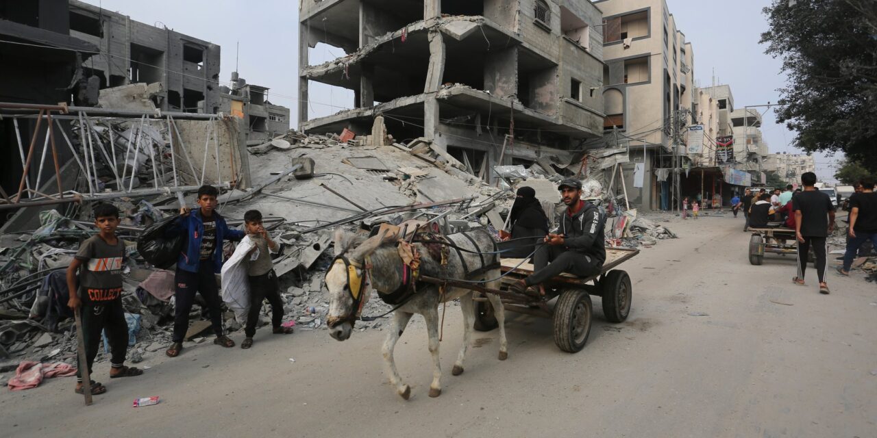Egyre kétségbeejtőbb a helyzet Gázában