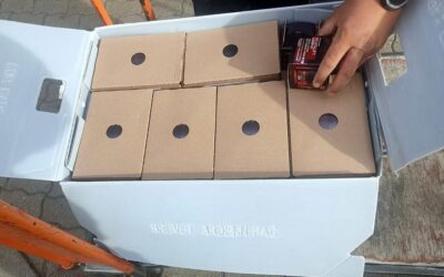 Arckrém-fogás a szerb-magyar határon