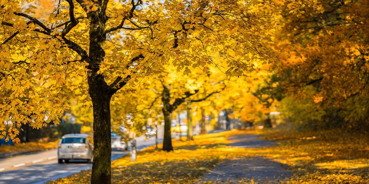 Itt a hosszú távú időjárás-előrejelzés novemberre