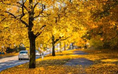 Itt a hosszú távú időjárás-előrejelzés novemberre