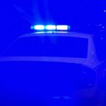 Saját fiuk gyilkolhatta meg a híres rendezőt és feleségét