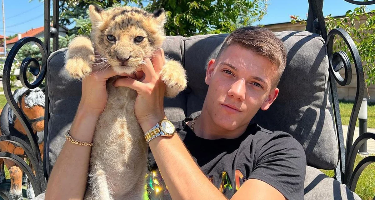 Az ügyészség elutasította az oroszlánkölyökkel videót készítő influenszer elleni feljelentést