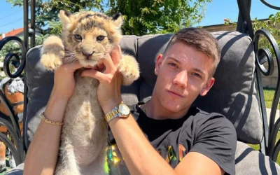 Az ügyészség elutasította az oroszlánkölyökkel videót készítő influenszer elleni feljelentést