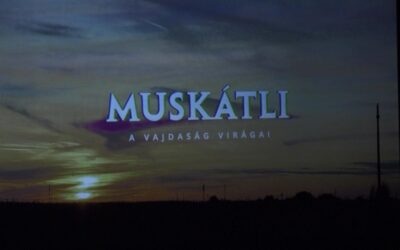Muskátli – A Vajdaság virágai Filmbemutató csütörtökön Temerinben