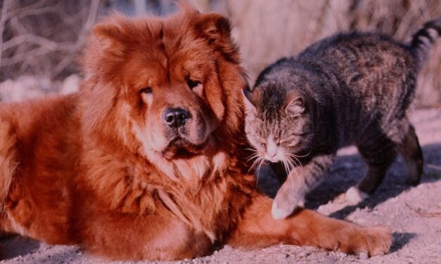 Egy jó szó, egy dicséret, egy segítő kéz