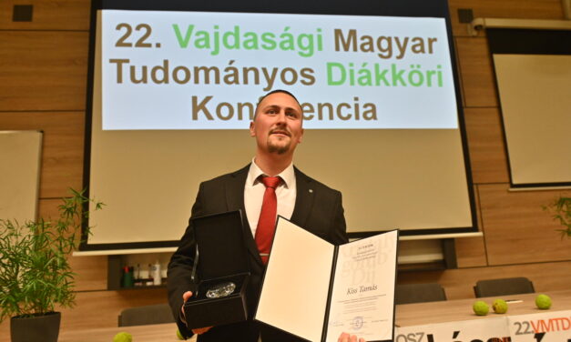 A káosz mint alkotói kihívás