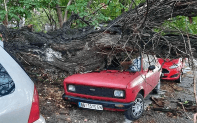 Belgrádban fákat döntött ki a viharos szél, Újvidéken leszakadt az ég