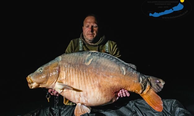 Több mint 34 kilós a Balaton új rekordpontya