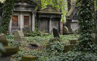 Kegyelmet kapott a tiniket feldaraboló és megevő sátánista, mert harcolni jelentkezett Ukrajnába