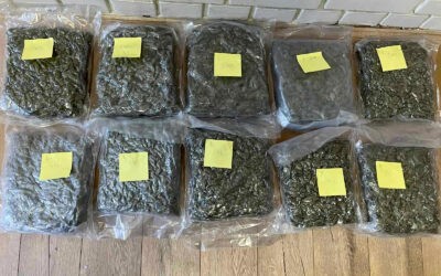 Több mint öt kiló füvet foglaltak le az újvidéki rendőrök