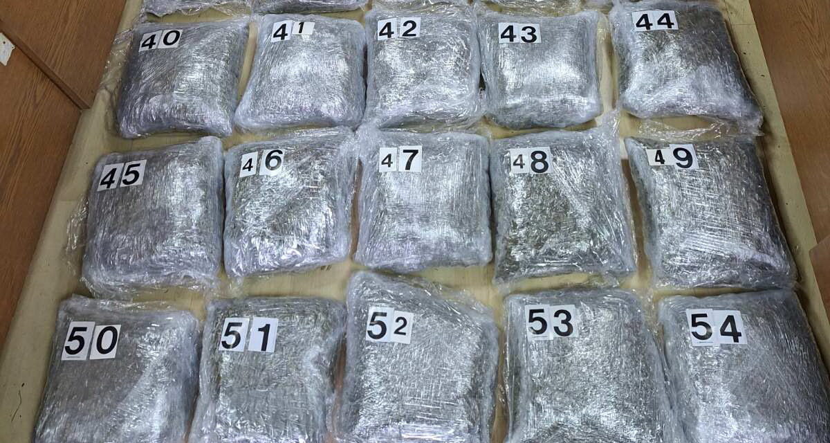 Orosz drogdílereket tartóztattak le Belgrádban