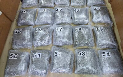 Orosz drogdílereket tartóztattak le Belgrádban