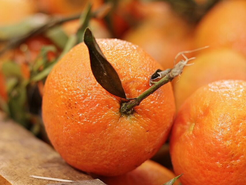 Drága lesz az idei narancs