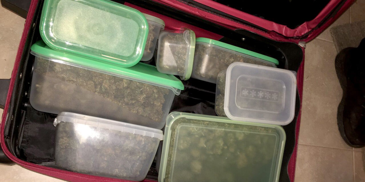 Több mint három kiló füvet spájzolt be az idősödő szerémségi gyanúsított (Fotók)