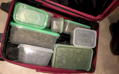 Több mint három kiló füvet spájzolt be az idősödő szerémségi gyanúsított (Fotók)