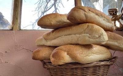 A legolcsóbb kenyér ára nem változik