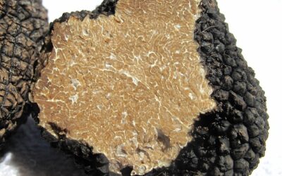 Luxuscikk kelt el 130 ezer euróért