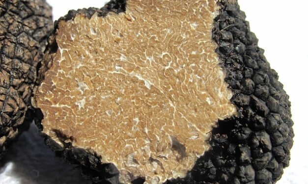 Luxuscikk kelt el 130 ezer euróért