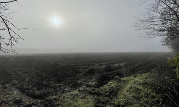 A mostani köd semmi sem volt a csütörtökre előrejelzetthez képest