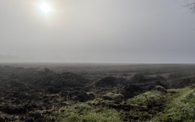Szinte minimális az esélye, hogy fehér legyen a karácsony a jövőben a Dél-Alföldön