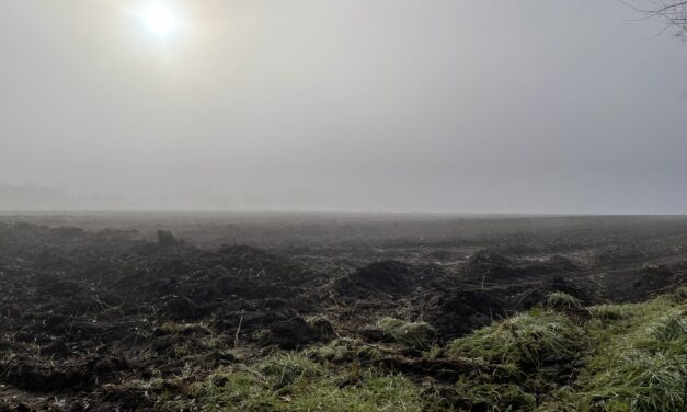 Szinte minimális az esélye, hogy fehér legyen a karácsony a jövőben a Dél-Alföldön